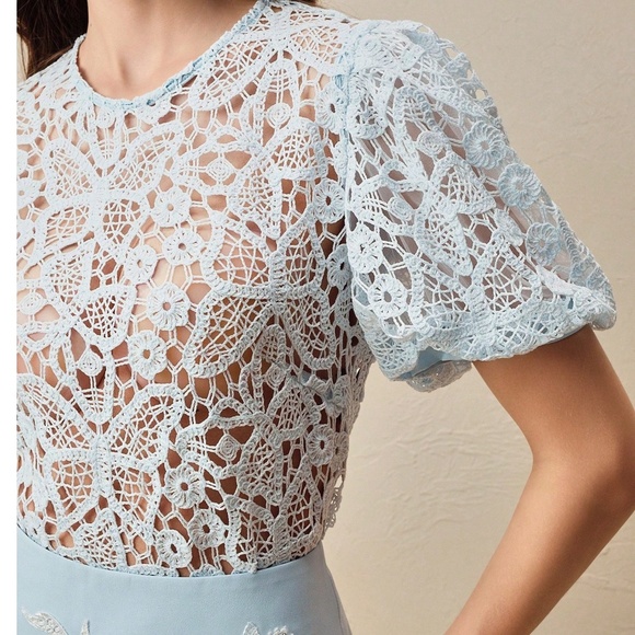 Classic Butterfly Lace Detail Semi Sheer Puff Sleeve Blouse - Picture 4 of 7